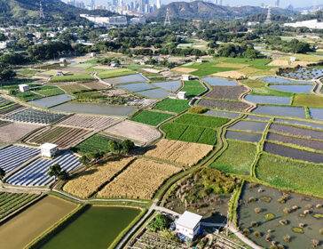 Explore Long Valley Nature Park: Hong Kong’s Newest Family-Friendly Destination