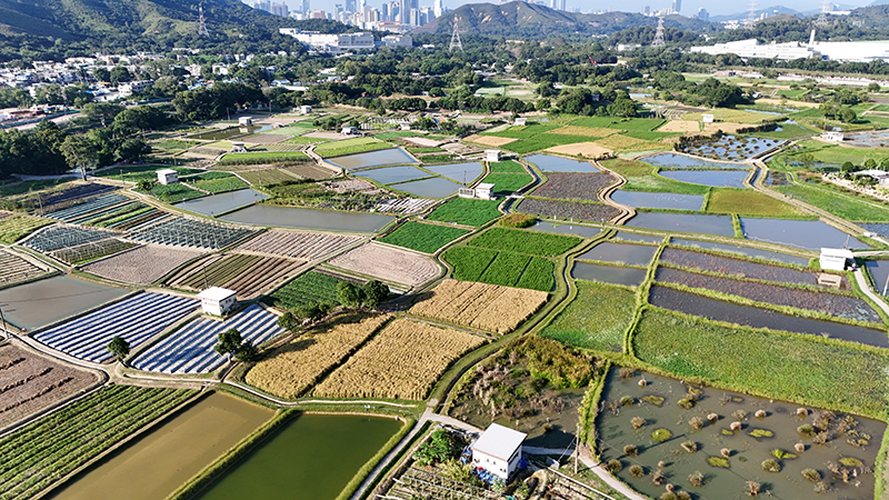 long valley nature park hong kong