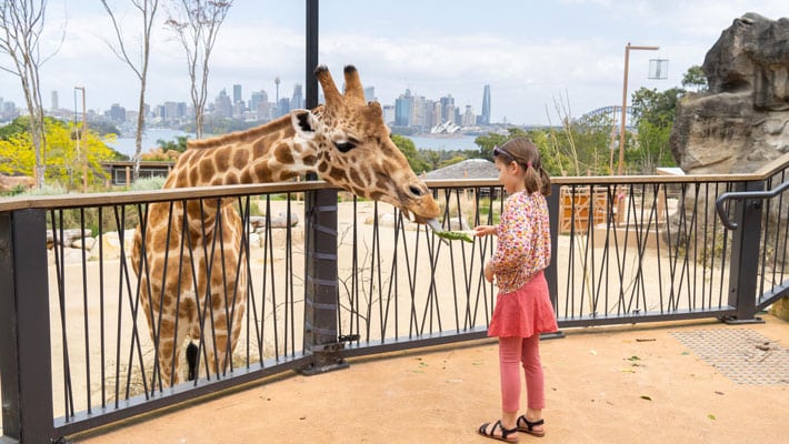 Weekend in Sydney Itinerary with Family at Taronga Zoo